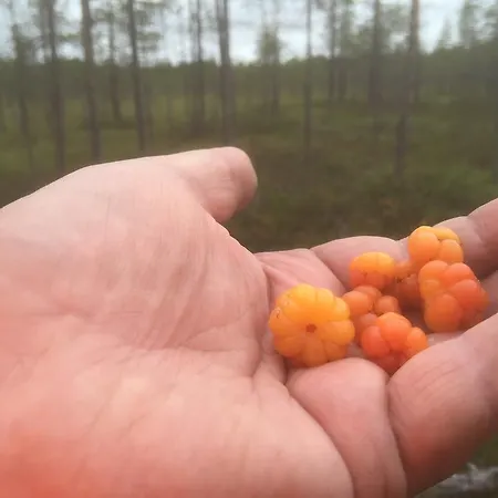 شقة Lapland Koivusto *