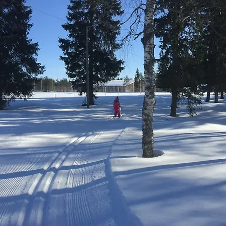 Lapland Koivusto * Ranua
